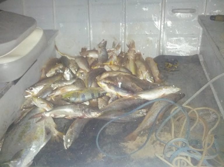 Pescadores são detidos por pescar no período da piracema em Linhares