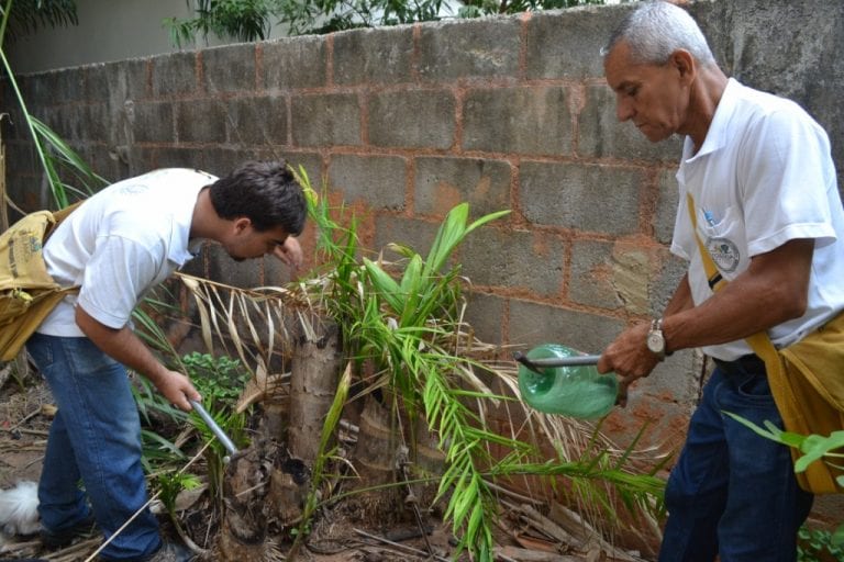 Saúde começa 2017 com alerta sobre a dengue