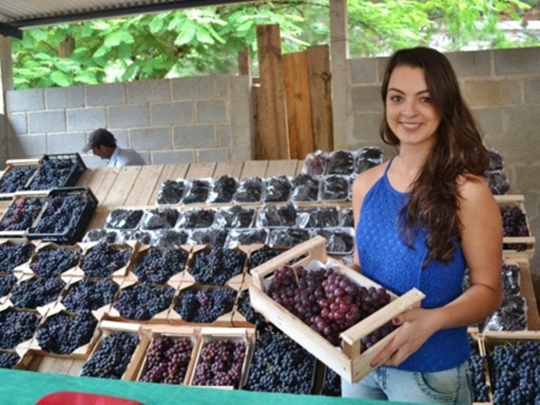 Festa da Uva e do Vinho em Alfredo Chaves no início de fevereiro