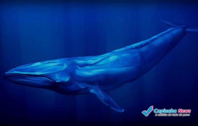 Desafio da Baleia Azul: Polícia do ES alerta sobre riscos do jogo que pode levar à morte