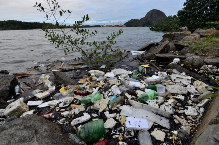 Mutirão retira 84 toneladas de lixo da Baía de Vitória