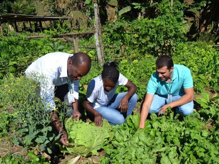 Incaper amplia atendimentos a agricultores familiares em situação de extrema pobreza