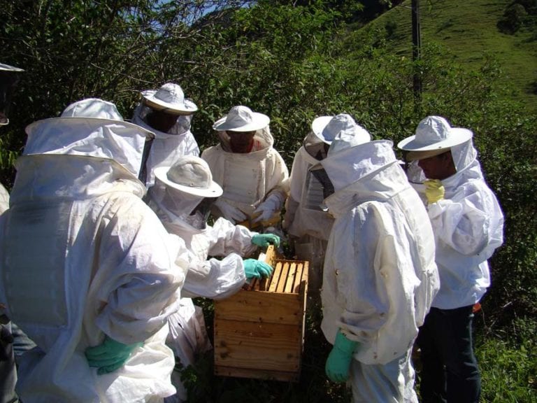 Abelhas são tema de conferência em Cachoeiro de Itapemirim