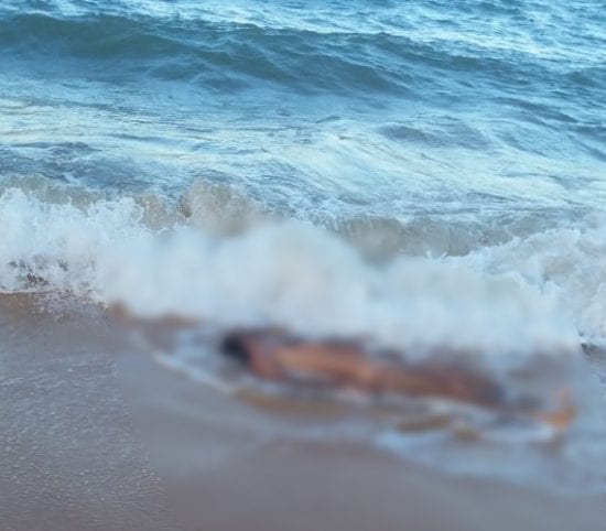 Moradora encontra corpo boiando na Enseada Azul em Guarapari