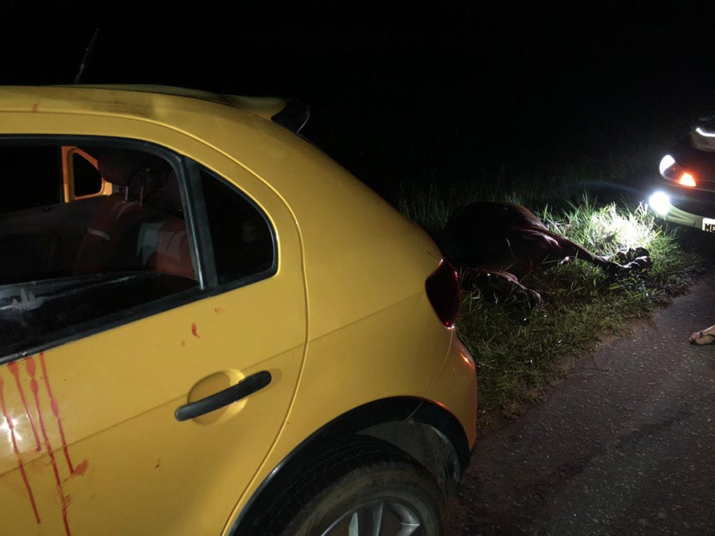 Três pessoas em um veículo ficam feridas após colidirem com um cavalo em Marataízes neste sábado (01)