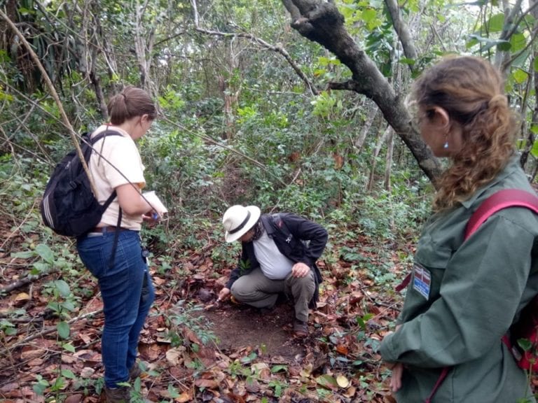 Guarapari: Parque Paulo Cesar Vinha tem seu primeiro sítio arqueológico identificado