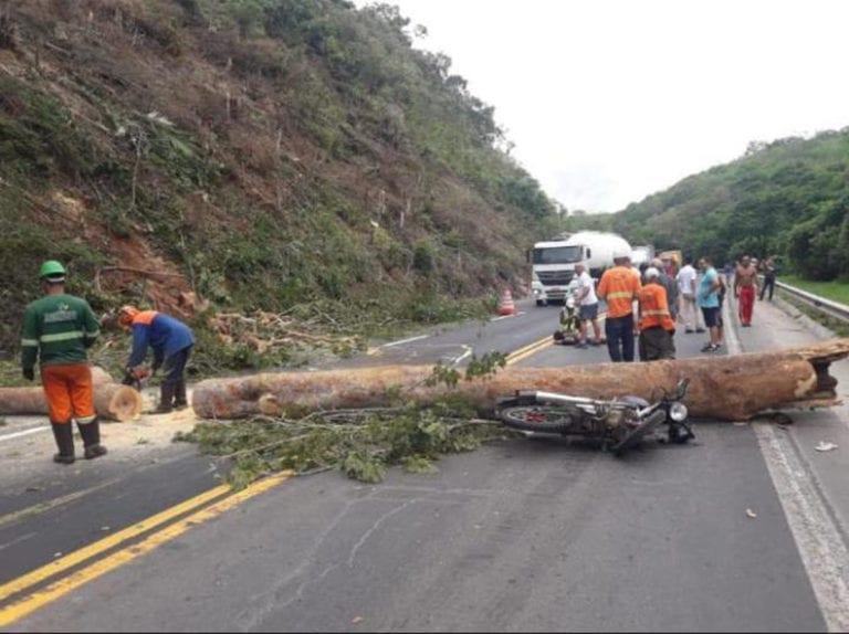 Motociclista fica ferida após árvore cair sobre ela na BR 101 em Mimoso do Sul