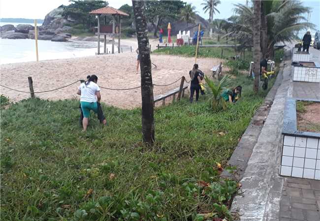 Ação de retirada de caramujos na orla de Itaoca e Itaipava