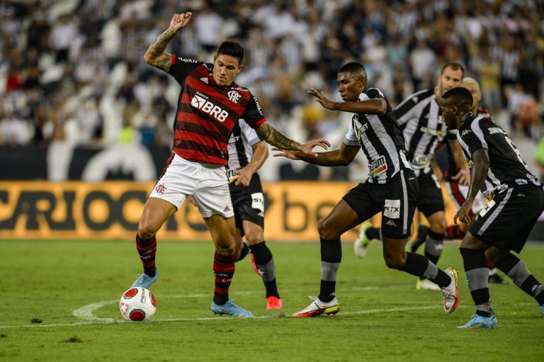 Após derrota para o Flamengo, Botafogo tem problemas para encarar a Portuguesa