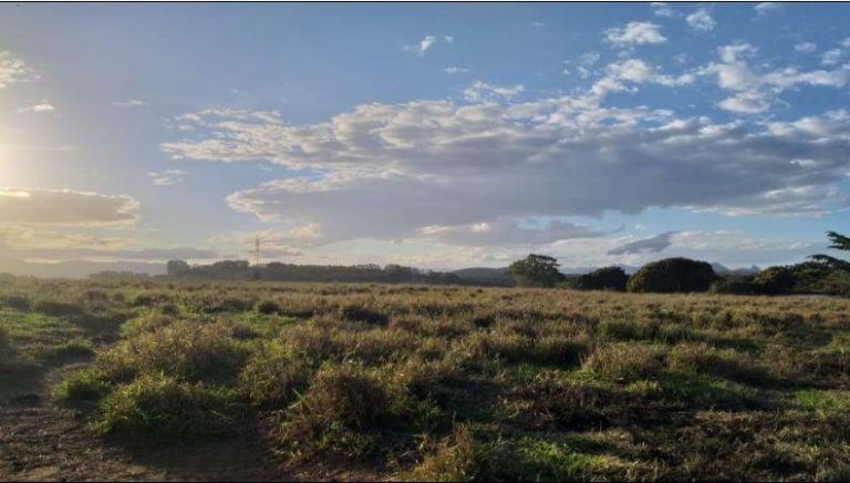 Governo do Estado anuncia venda de terrenos públicos localizados em Cariacica