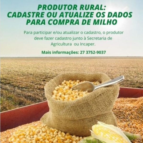 Parceria entre Secretaria Municipal de Agricultura e Incaper proporciona compra de milho com preço mais barato