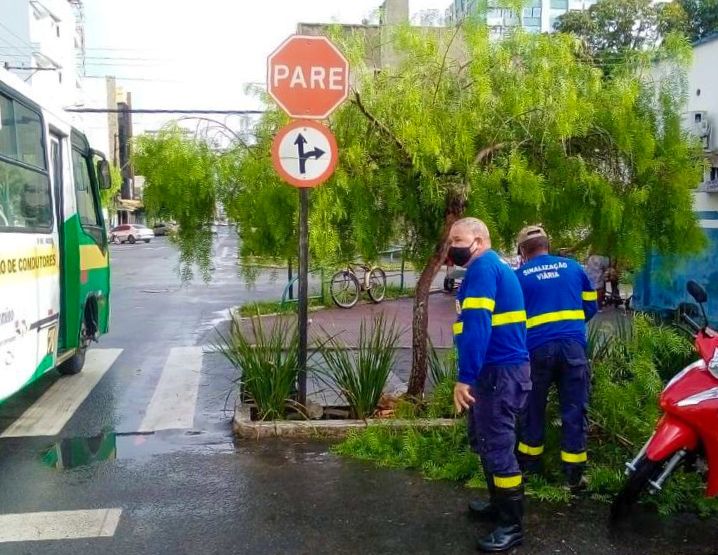 Prefeitura realiza limpeza e reposição de placas de trânsito no Centro da cidade