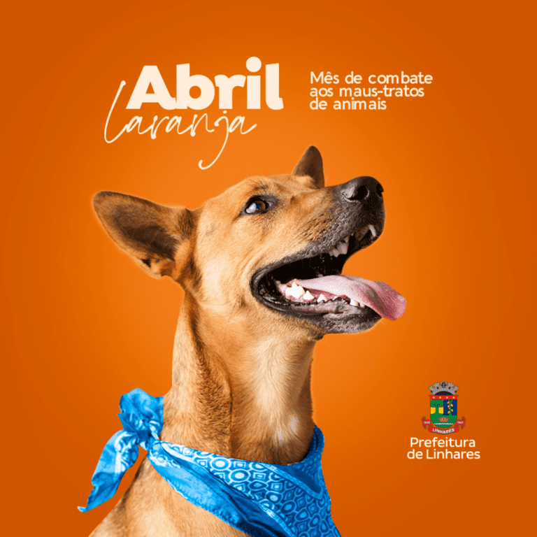 Abril Laranja: Meio Ambiente reforça importância da prevenção contra a crueldade animal