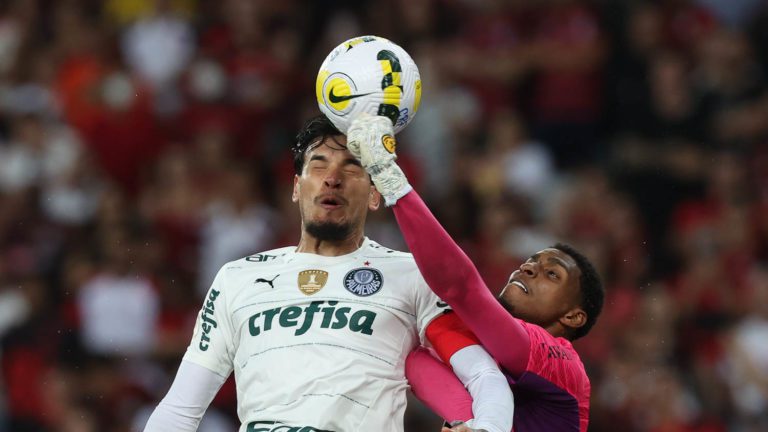 Palmeiras publica fotos com lance polêmico em partida contra o Flamengo