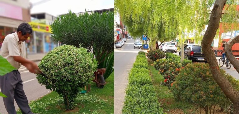 Jardineiro Gilson: “A única coisa que entristece é quando destroem as plantas dos canteiros e praças