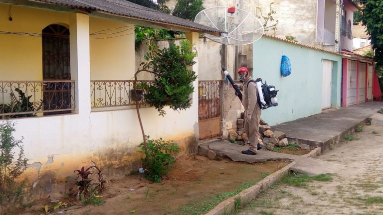 Maioria dos distritos está sem foco do mosquito da dengue, mas Saúde pede atenção as moradores