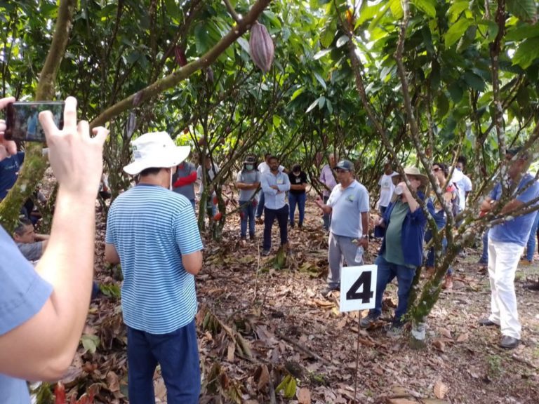 Técnico da Secretaria de Agricultura de Linhares participa de missão técnica sobre produção de cacau na Bahia   		