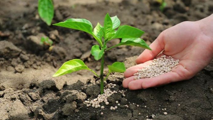 Fertilizantes
