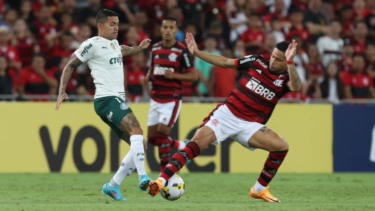 Flamengo e Palmeiras protagonizam receitas no futebol brasileiro em 2021