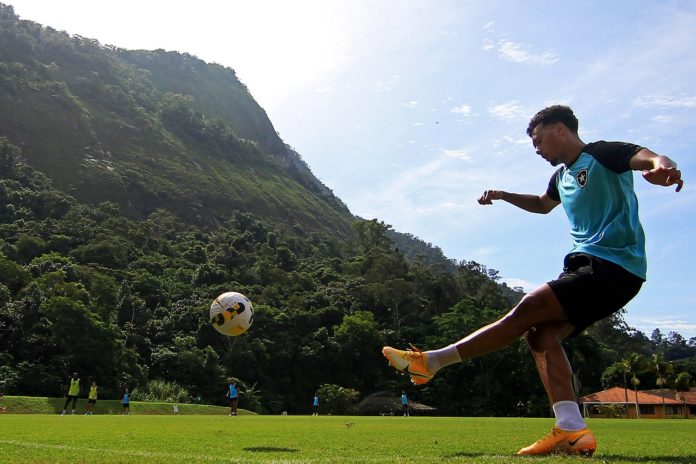 Hamalainen é regularizado e pode estrear pelo Botafogo contra o Ceilândia