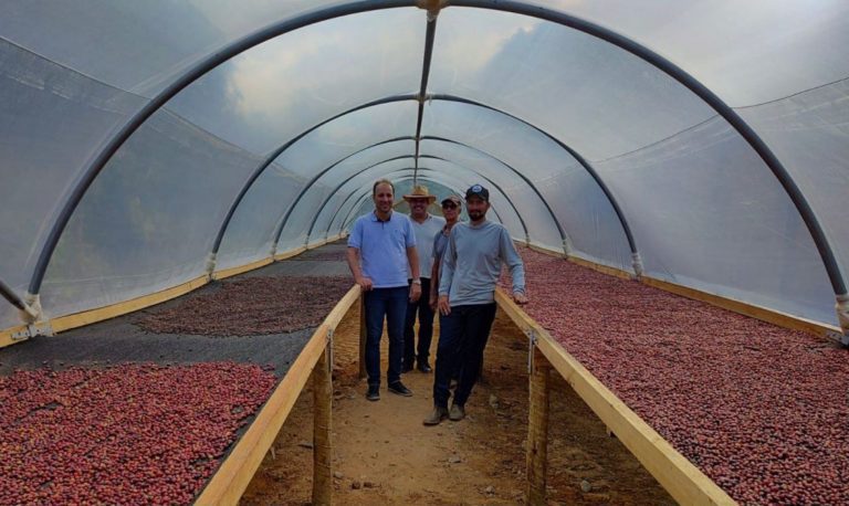 Terreiros suspensos criam novas perspectivas de verticalização da produção de café em Linhares   		