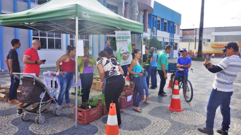 
			Doação de mudas de árvores é sucesso em Jaguaré        
