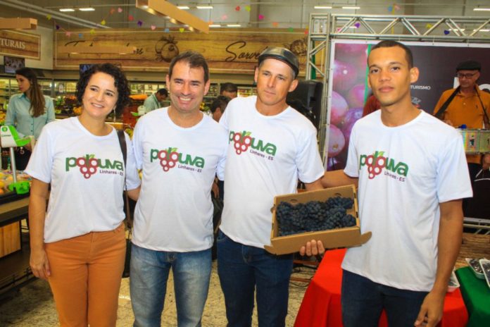 Linhares abrirá temporada da colheita da uva com programação musical, esportiva e religiosa em São Judas, São Rafael   		