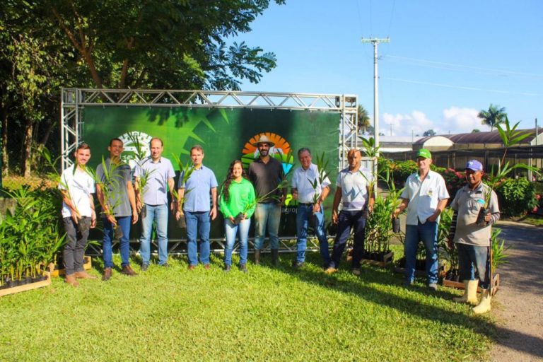 Prefeitura de Linhares inicia a distribuição de novas mudas de açaí para o Polo Litoral