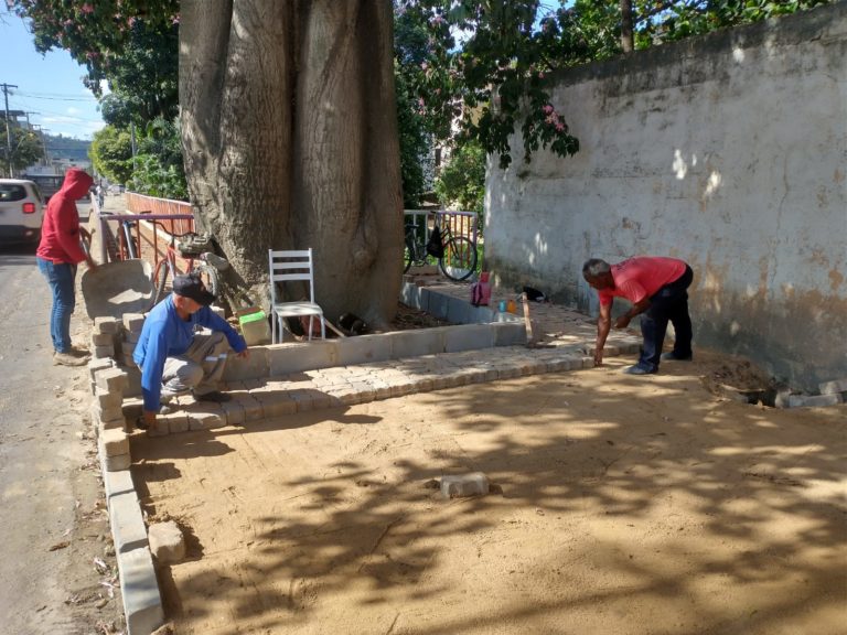 Secretaria de Obras realiza calçamento no entorno da paineira rosa na Vila Landinha