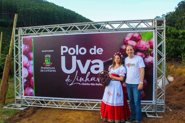 Segunda temporada da colheita de uva em São Rafael está aberta à visitação   		