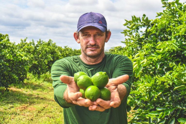 Agricultura lança novo edital para distribuir quase 7 mil mudas para ampliar polo de frutas de Linhares