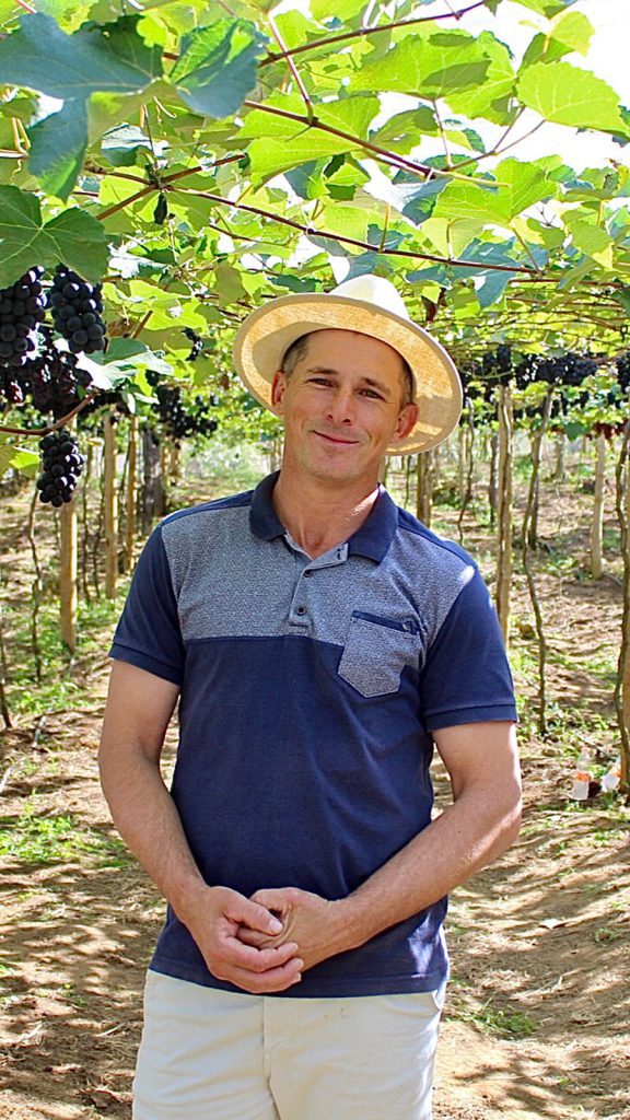 Colheita de uva é sucesso e as visitas são encerradas no Polo Alto São Rafael   		