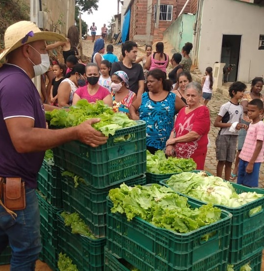 Hortões municipais já produziram e entregaram 1.936 caixas de verduras, legumes e frutas