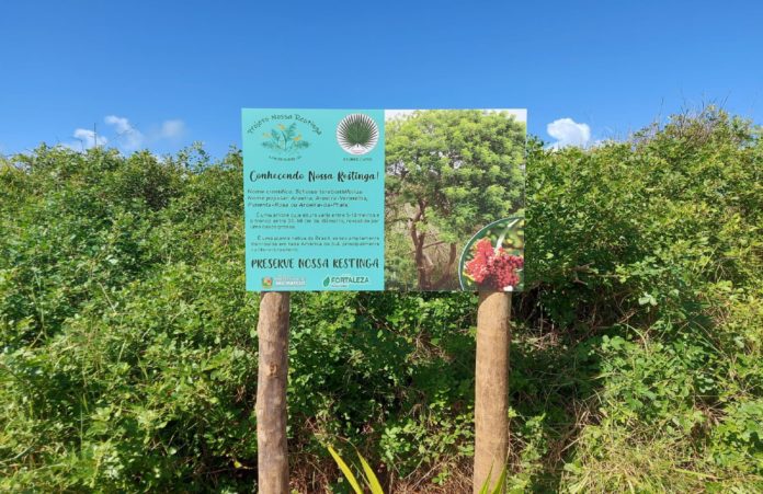 PLACAS EDUCATIVAS REVELAM FLORA E FAUNA DA RESTINGA E ENCANTAM FREQUENTADORES DA ORLA DE GURIRI