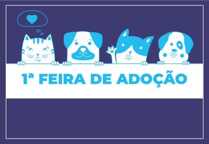 PREFEITURA DE COLATINA REALIZA 1ª FEIRA DE ADOÇÃO DE PETS