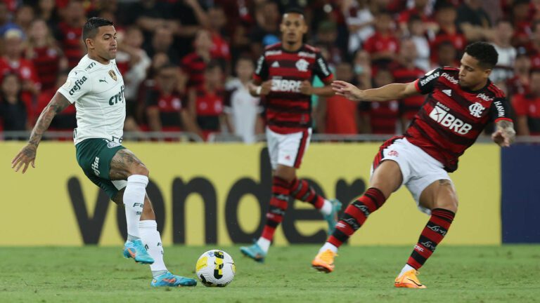 Palmeiras e Flamengo dividem melhor sequência de vitórias do Brasileirão