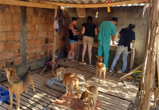 PROGRAMA DE BEM ESTAR E PROTEÇÃO ANIMAL REALIZOU 100 ATENDIMENTOS NOS ÚLTIMOS 20 DIAS