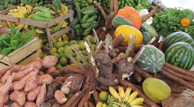 
			Prefeitura de Jaguaré participa de Programa Estadual de Compra Direta de Alimentos        