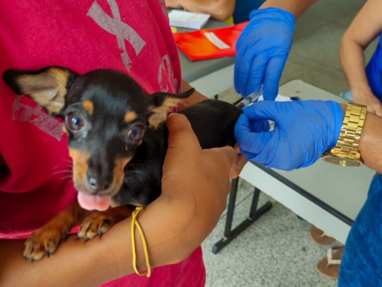 Prevenção: Unidade de Vigilância de Zoonoses continua campanha de vacinação em cães e gatos em Linhares