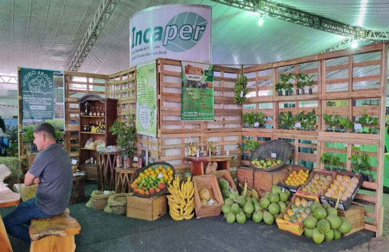 1ª FEIRA DE AGRONEGÓCIOS É SUCESSO ENTRE EMPRESÁRIOS E PÚBLICO NA EXPOSAMA