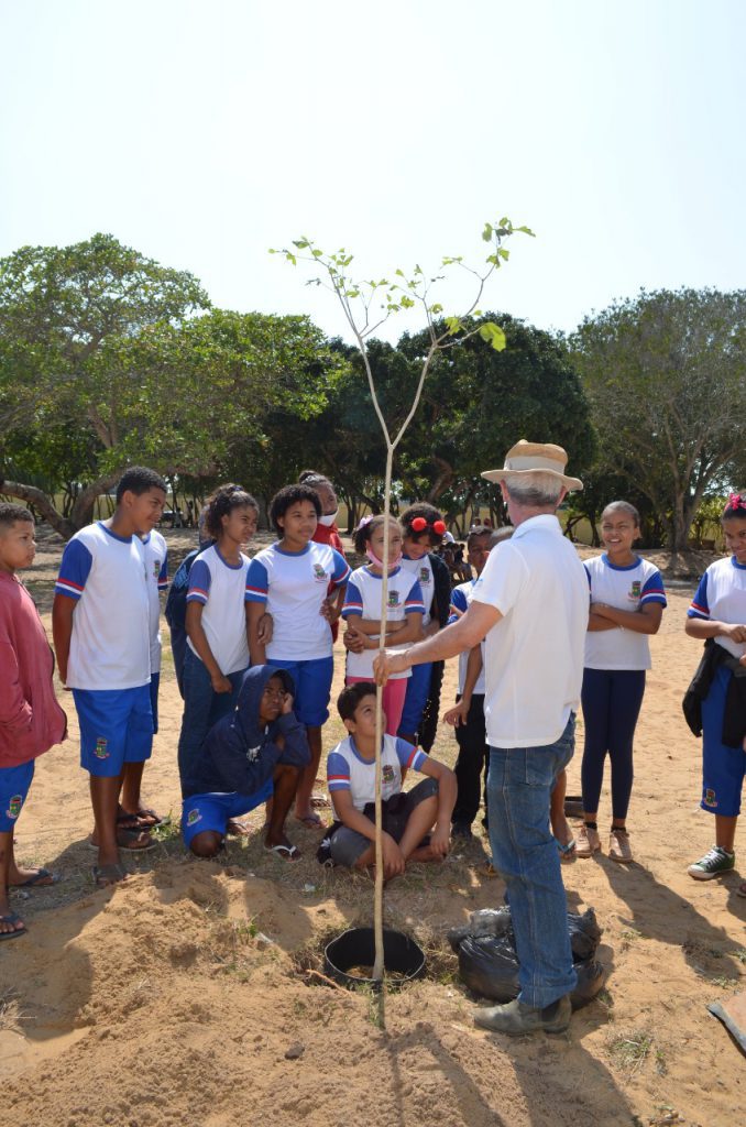 Dia da Árvore: estudantes de Pontal do Ipiranga iniciam plantio de ipês e aroeiras ao entorno da escola   		