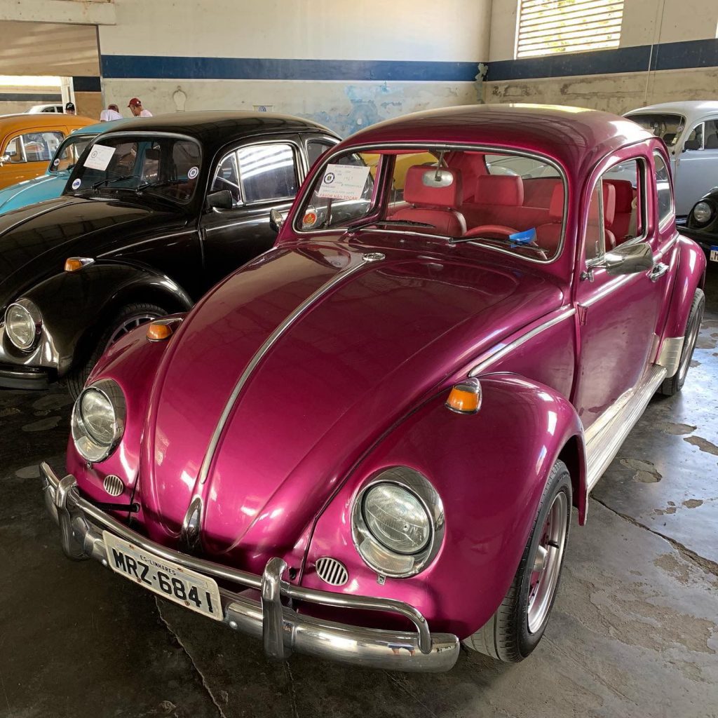 Fusca completa 60 anos com encontro de colecionadores na Morada dos Baís -  Diversão - Campo Grande News