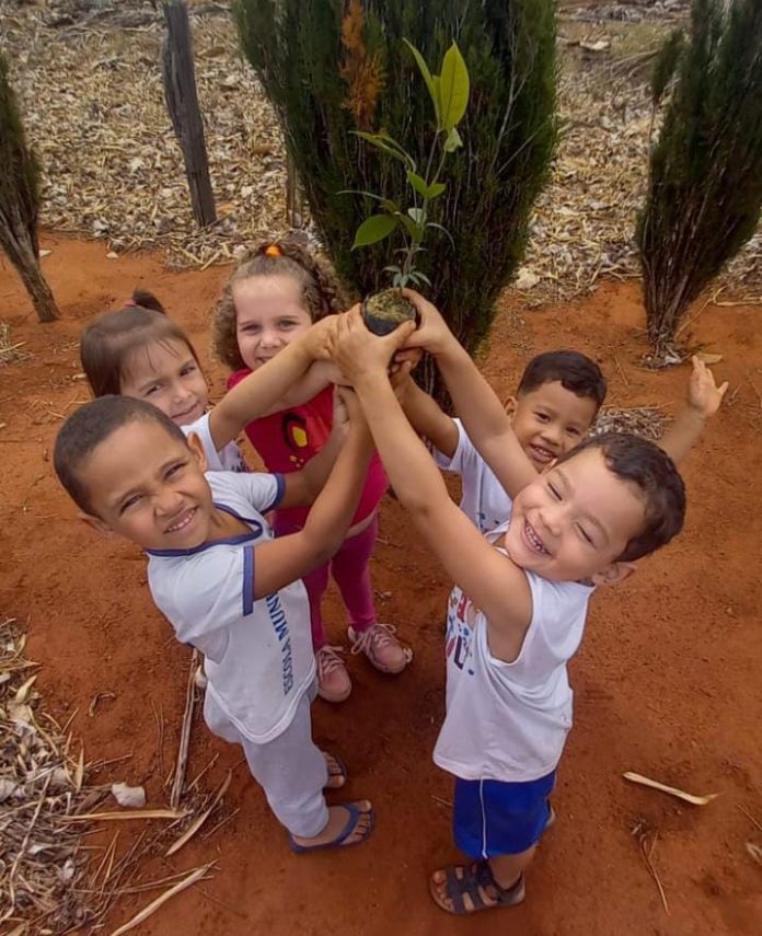 Fazenda em Nova Venécia recebe alunos da rede municipal para plantio de árvores