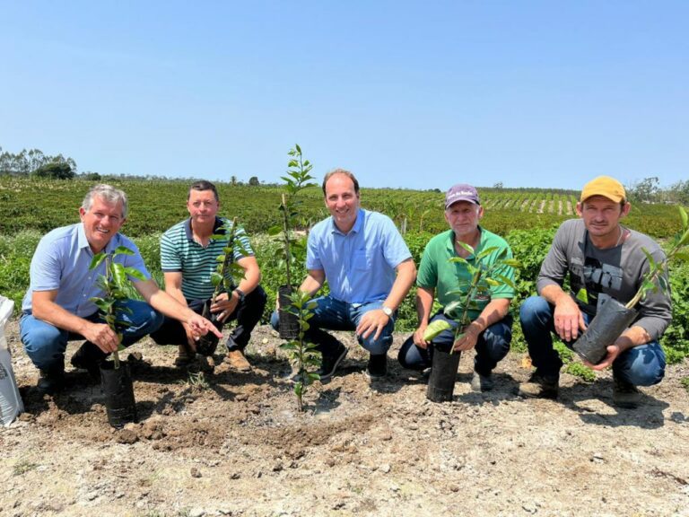 Laranja pêra é a segunda fruta introduzida na fase de expansão do Programa Municipal de Fruticultura   		