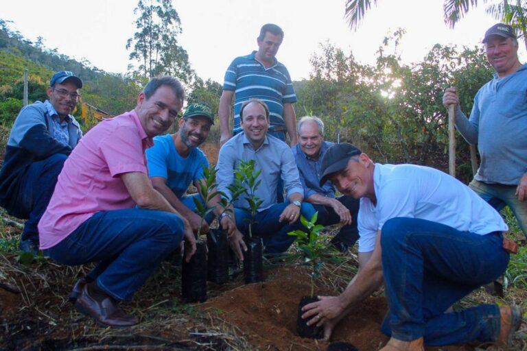 Programa de Fruticultura é ampliado com a introdução da tangerina ponkan no Polo Alto São Rafael   		