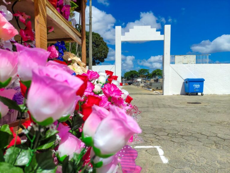 Finados: Prefeitura abre 45 vagas para cadastro de ambulantes interessados em atuar nos cemitérios de Linhares   		
