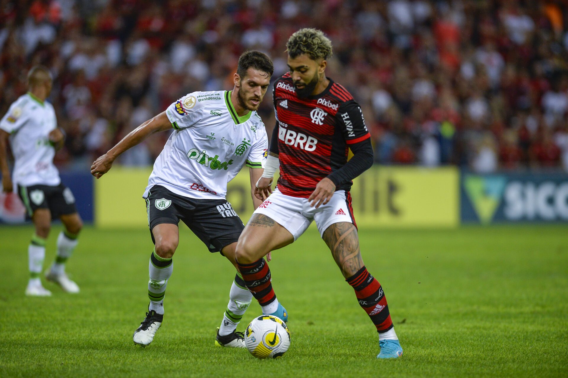 Flamengo divulga relacionados para jogo contra América-MG, pelo Brasileirão  - Coluna do Fla