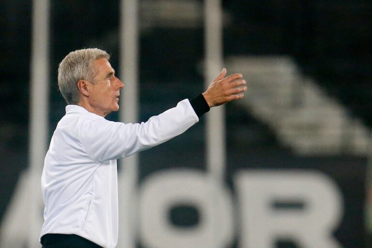 Luís Castro admite irritação com arbitragem de Botafogo x Palmeiras
