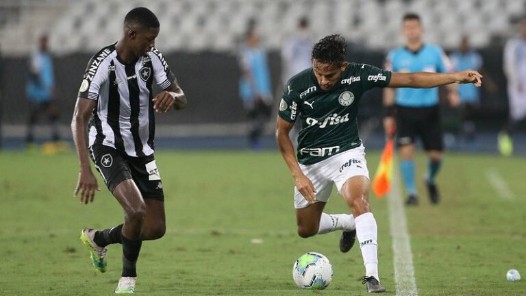 Palmeiras foi derrotado pelo Botafogo em última visita ao Nilton Santos pelo Brasileiro