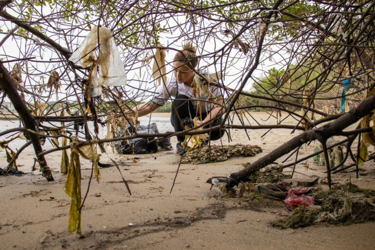 Voluntários retiram mais de meia tonelada de lixo das praias de Piúma